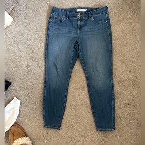 Torrid Jeggings
